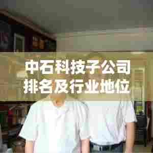 中石科技子公司排名及行业地位一览