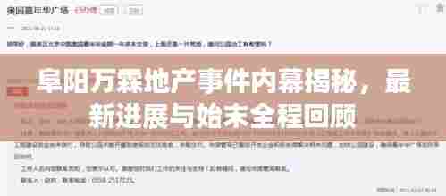 阜阳万霖地产事件内幕揭秘,最新进展与始末全程回顾