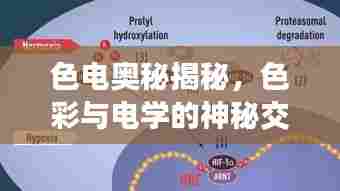 色电奥秘揭秘,色彩与电学的神秘交汇点