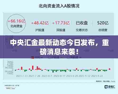 中央汇金最新动态今日发布,重磅消息来袭!