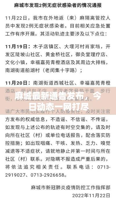 麻城最新通告发布，今日动态一网打尽