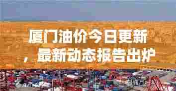 厦门油价今日更新，最新动态报告出炉！