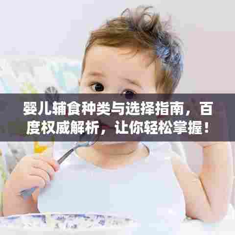 婴儿辅食种类与选择指南，百度权威解析，让你轻松掌握！