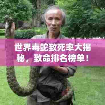 世界毒蛇致死率大揭秘,致命排名榜单!