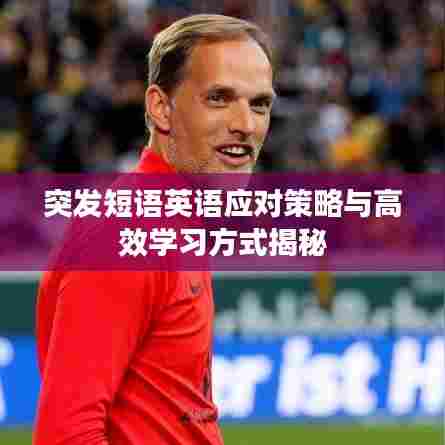 突发短语英语应对策略与高效学习方式揭秘