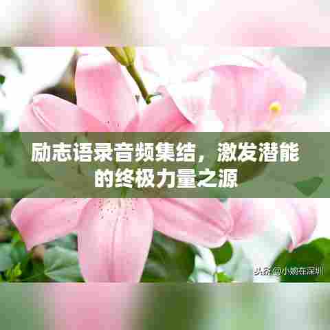 励志语录音频集结,激发潜能的终极力量之源