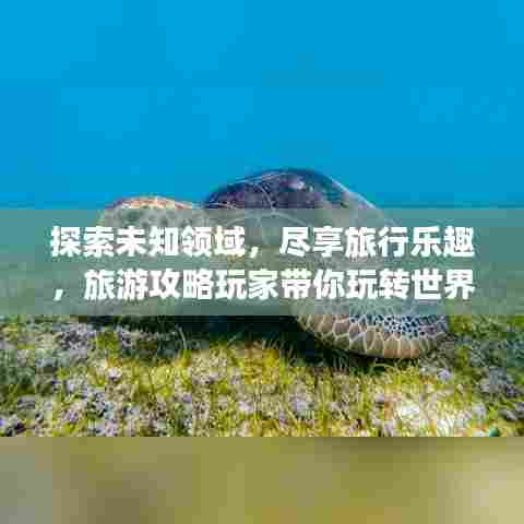 探索未知领域,尽享旅行乐趣,旅游攻略玩家带你玩转世界
