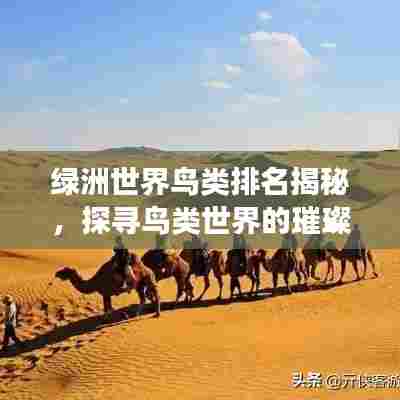 绿洲世界鸟类排名揭秘,探寻鸟类世界的璀璨明珠,吸引你的目光!