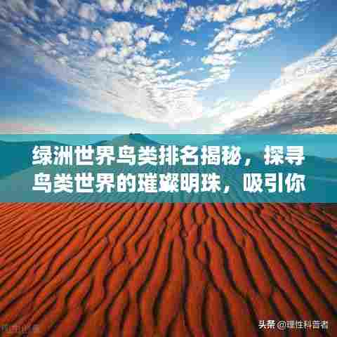 绿洲世界鸟类排名揭秘,探寻鸟类世界的璀璨明珠,吸引你的目光!