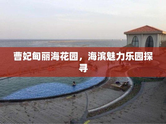 曹妃甸丽海花园,海滨魅力乐园探寻
