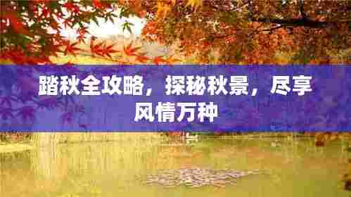 踏秋全攻略，探秘秋景，尽享风情万种
