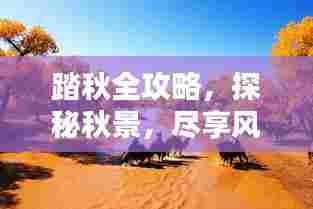 踏秋全攻略,探秘秋景,尽享风情万种