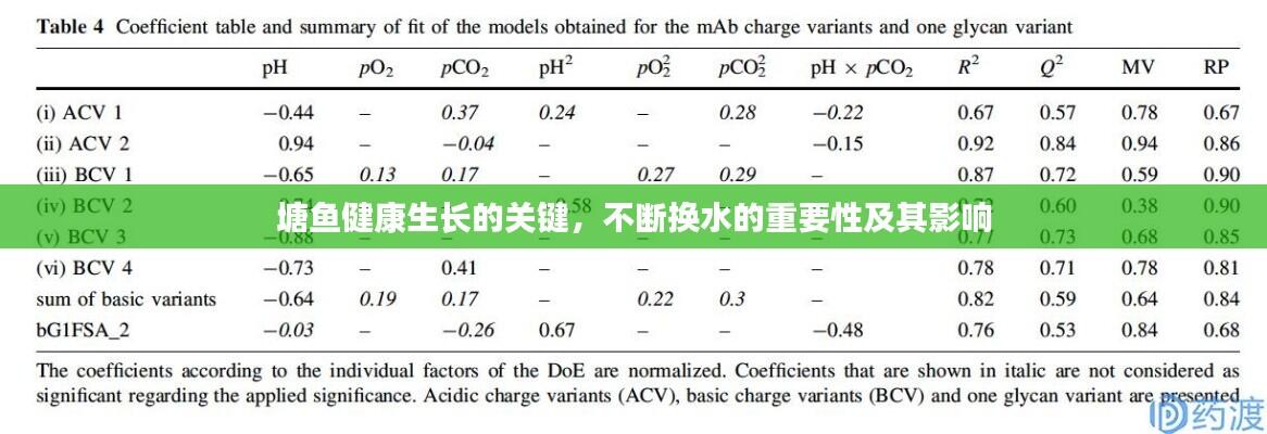 塘鱼健康生长的关键,不断换水的重要性及其影响