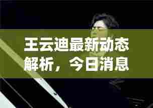 王云迪最新动态解析,今日消息一览