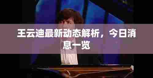 王云迪最新动态解析,今日消息一览