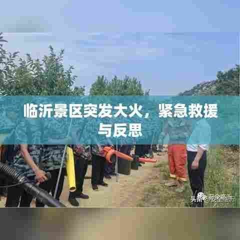 临沂景区突发大火，紧急救援与反思