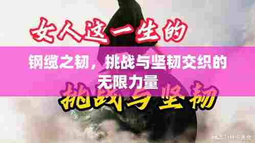 钢缆之韧，挑战与坚韧交织的无限力量