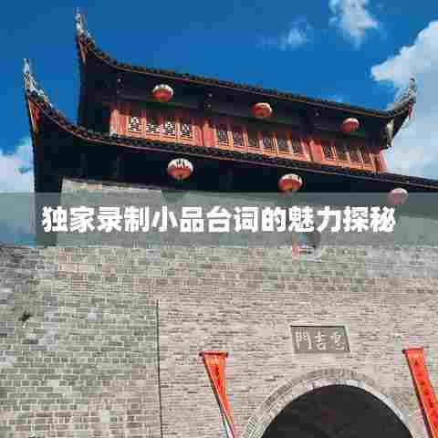 独家录制小品台词的魅力探秘