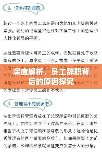 深度解析,员工辞职背后的原因探究