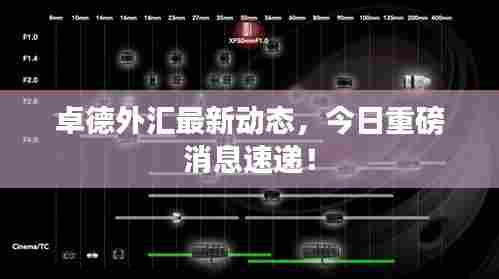 卓德外汇最新动态，今日重磅消息速递！