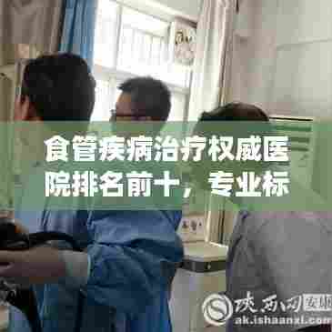 食管疾病治疗权威医院排名前十,专业标杆引领医疗新风尚