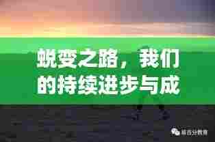蜕变之路，我们的持续进步与成长