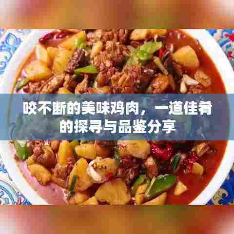 咬不断的美味鸡肉，一道佳肴的探寻与品鉴分享