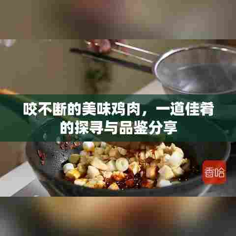 咬不断的美味鸡肉,一道佳肴的探寻与品鉴分享