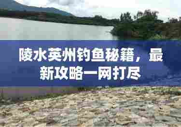陵水英州钓鱼秘籍,最新攻略一网打尽