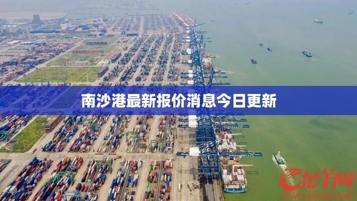 南沙港最新报价消息今日更新