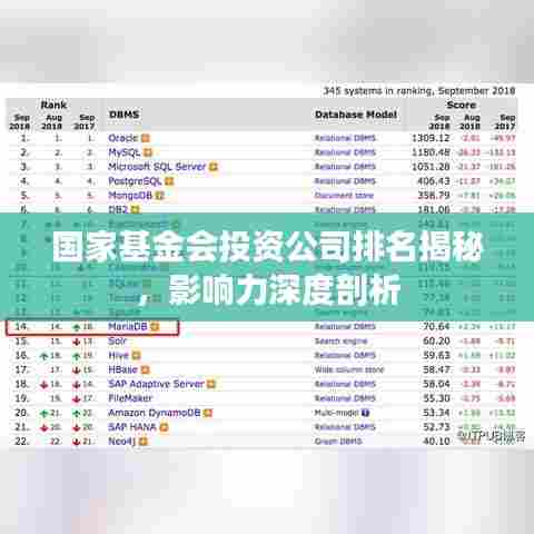 国家基金会投资公司排名揭秘,影响力深度剖析
