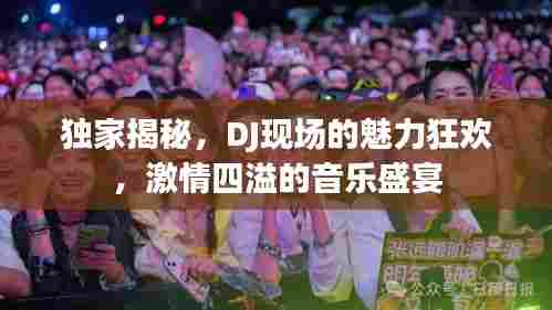 独家揭秘，DJ现场的魅力狂欢，激情四溢的音乐盛宴