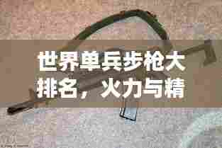 世界单兵步枪大排名,火力与精准度的较量!