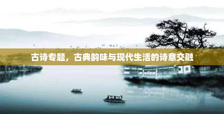 古诗专题，古典韵味与现代生活的诗意交融