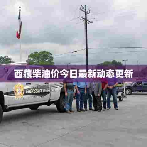 西藏柴油价今日最新动态更新