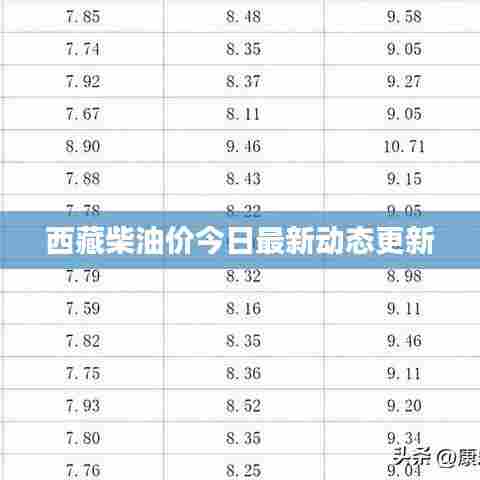 西藏柴油价今日最新动态更新