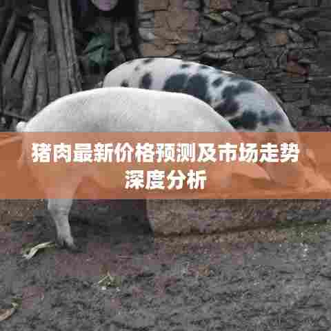 猪肉最新价格预测及市场走势深度分析