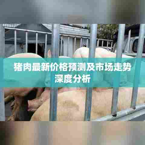 猪肉最新价格预测及市场走势深度分析