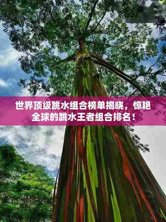 世界顶级跳水组合榜单揭晓,惊艳全球的跳水王者组合排名!