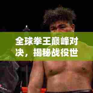 全球拳王巅峰对决,揭秘战役世界拳坛荣耀与力量排名
