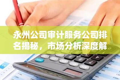 永州公司审计服务公司排名揭秘,市场分析深度解读