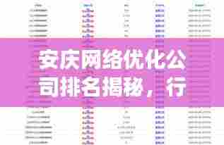 安庆网络优化公司排名揭秘,行业洞察与选择指南