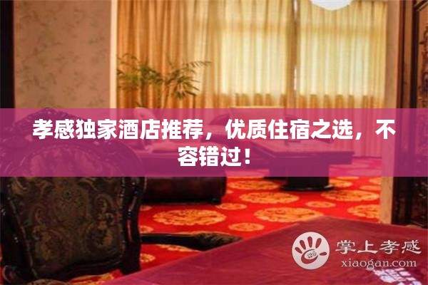 孝感独家酒店推荐,优质住宿之选,不容错过!