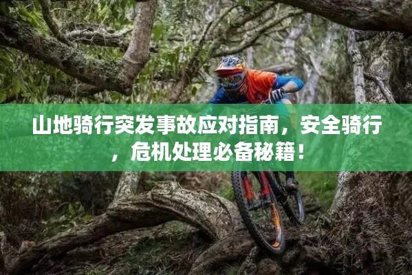 山地骑行突发事故应对指南，安全骑行，危机处理必备秘籍！