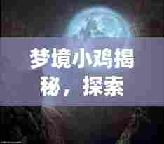梦境小鸡揭秘,探索梦境与现实交汇的神秘之旅