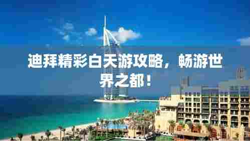 迪拜精彩白天游攻略,畅游世界之都!