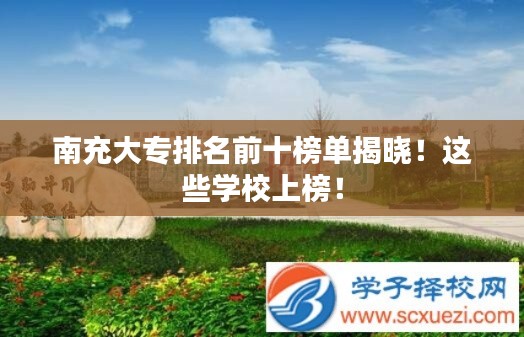 南充大专排名前十榜单揭晓！这些学校上榜！