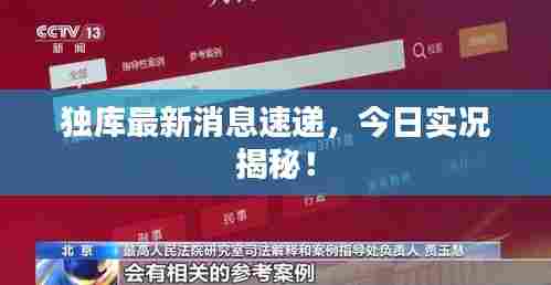 独库最新消息速递，今日实况揭秘！