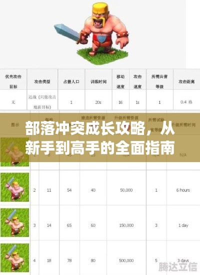 部落冲突成长攻略,从新手到高手的全面指南