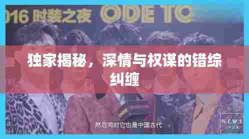 独家揭秘，深情与权谋的错综纠缠